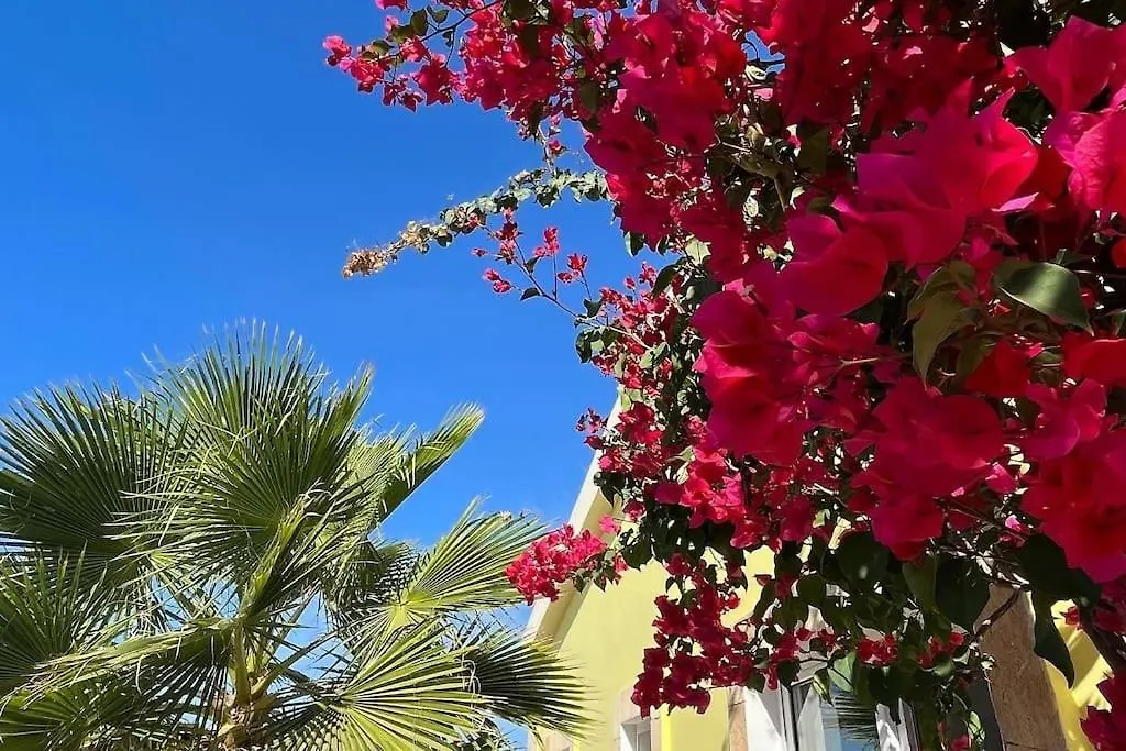 Villa Gemeo Vue Mer, Piscine Acces Prive Plage Calheta